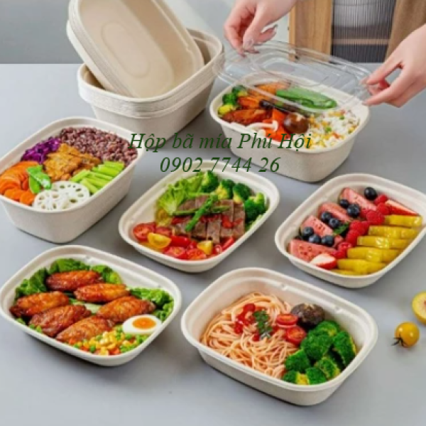 Hộp bã mía 1 ngăn to nắp nhựa PET 850ml